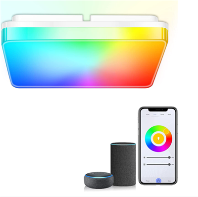 22CL LED CEILING LIGHT 24W (WIFI, Bluetooth RGB+Tunable)